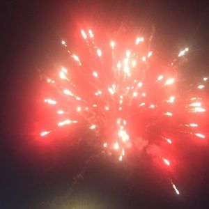 Meet your Posher, Vicky